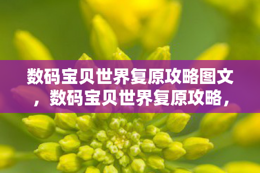 数码宝贝世界复原攻略图文，数码宝贝世界复原攻略，重返经典，重温童年