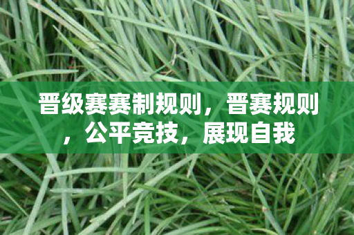 晋级赛赛制规则，晋赛规则，公平竞技，展现自我