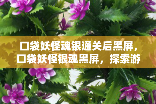 口袋妖怪魂银通关后黑屏,口袋妖怪银魂黑屏,探索游戏与设备兼容性问题 口袋妖怪魂银通关后黑屏,口袋妖怪银魂黑屏,探索游戏与设备兼容性问题