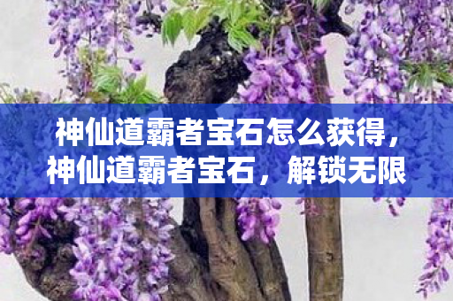 神仙道霸者宝石怎么获得,神仙道霸者宝石,解锁无限可能的神秘宝石 神仙道霸者宝石怎么获得,神仙道霸者宝石,解锁无限可能的神秘宝石