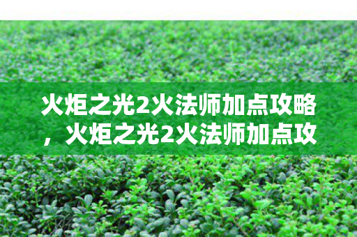 火炬之光2火法师加点攻略,火炬之光2火法师加点攻略,打造高效输出的火焰法师 火炬之光2火法师加点攻略,火炬之光2火法师加点攻略,打造高效输出的火焰法师