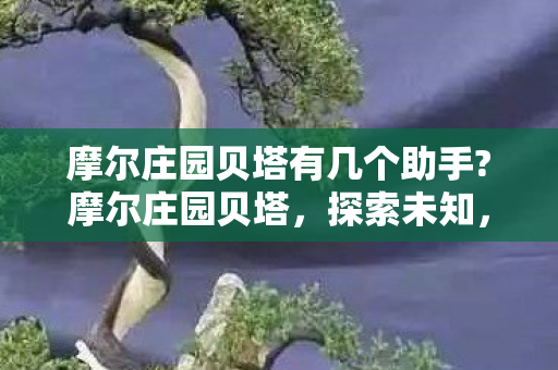 摩尔庄园贝塔有几个助手?摩尔庄园贝塔,探索未知,创造无限 摩尔庄园贝塔有几个助手?摩尔庄园贝塔,探索未知,创造无限
