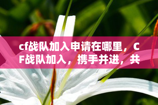 cf战队加入申请在哪里,CF战队加入,携手并进,共筑荣耀 cf战队加入申请在哪里,CF战队加入,携手并进,共筑荣耀