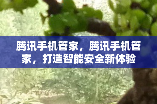 腾讯手机管家,腾讯手机管家,打造智能安全新体验 腾讯手机管家,腾讯手机管家,打造智能安全新体验