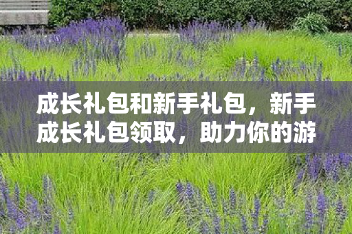 成长礼包和新手礼包，新手成长礼包领取，助力你的游戏之旅