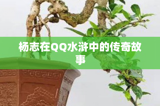 杨志在QQ水浒中的传奇故事