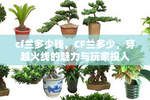 cf兰多少钱,CF兰多少,穿越火线的魅力与玩家投入 cf兰多少钱,CF兰多少,穿越火线的魅力与玩家投入