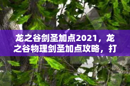 龙之谷剑圣加点2021,龙之谷物理剑圣加点攻略,打造最强剑术大师 龙之谷剑圣加点2021,龙之谷物理剑圣加点攻略,打造最强剑术大师