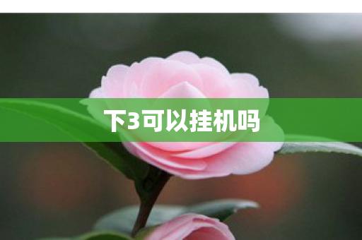 下3可以挂机吗 下3可以挂机吗