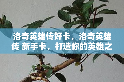 洛奇英雄传好卡,洛奇英雄传 新手卡,打造你的英雄之旅 洛奇英雄传好卡,洛奇英雄传 新手卡,打造你的英雄之旅
