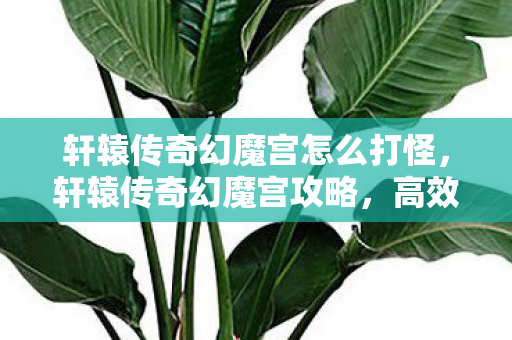 轩辕传奇幻魔宫怎么打怪，轩辕传奇幻魔宫攻略，高效通关策略