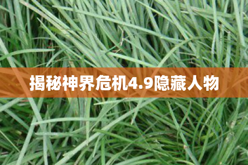 揭秘神界危机4.9隐藏人物 揭秘神界危机4.9隐藏人物