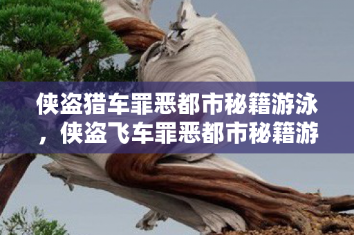 侠盗猎车罪恶都市秘籍游泳,侠盗飞车罪恶都市秘籍游泳,畅游罪恶之都的秘籍 侠盗猎车罪恶都市秘籍游泳,侠盗飞车罪恶都市秘籍游泳,畅游罪恶之都的秘籍