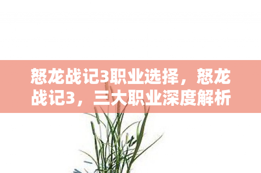 怒龙战记3职业选择，怒龙战记3，三大职业深度解析