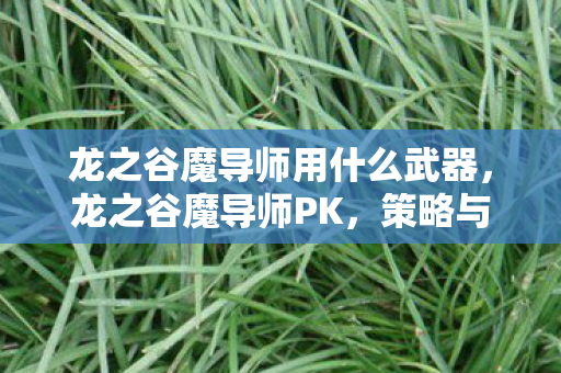 龙之谷魔导师用什么武器,龙之谷魔导师PK,策略与技巧的深度剖析 龙之谷魔导师用什么武器,龙之谷魔导师PK,策略与技巧的深度剖析