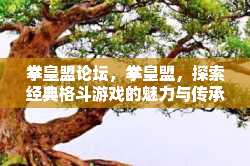 拳皇盟论坛,拳皇盟,探索经典格斗游戏的魅力与传承 拳皇盟论坛,拳皇盟,探索经典格斗游戏的魅力与传承