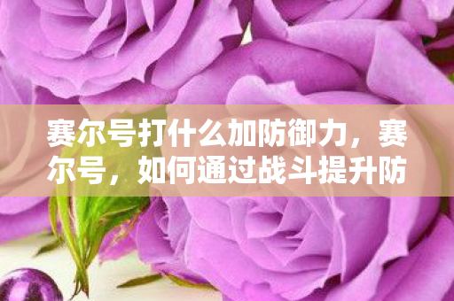 赛尔号打什么加防御力,赛尔号,如何通过战斗提升防御力 赛尔号打什么加防御力,赛尔号,如何通过战斗提升防御力