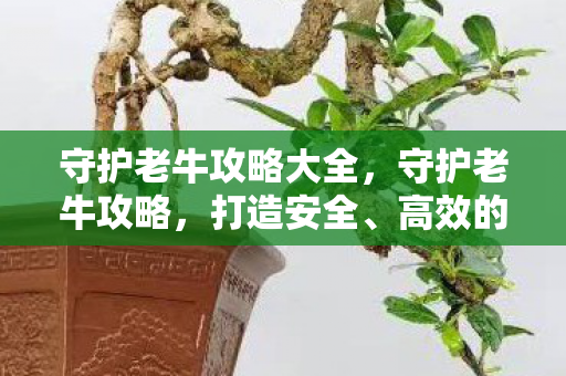 守护老牛攻略大全,守护老牛攻略,打造安全、高效的服务器环境 守护老牛攻略大全,守护老牛攻略,打造安全、高效的服务器环境