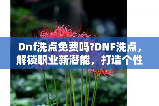 Dnf洗点免费吗?DNF洗点,解锁职业新潜能,打造个性化角色 Dnf洗点免费吗?DNF洗点,解锁职业新潜能,打造个性化角色