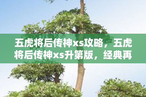 五虎将后传神xs攻略,五虎将后传神xs升第版,经典再现,策略升级 五虎将后传神xs攻略,五虎将后传神xs升第版,经典再现,策略升级