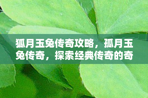狐月玉兔传奇攻略,孤月玉兔传奇,探索经典传奇的奇幻世界 狐月玉兔传奇攻略,孤月玉兔传奇,探索经典传奇的奇幻世界