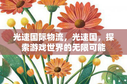 光速国际物流,光速国,探索游戏世界的无限可能 光速国际物流,光速国,探索游戏世界的无限可能