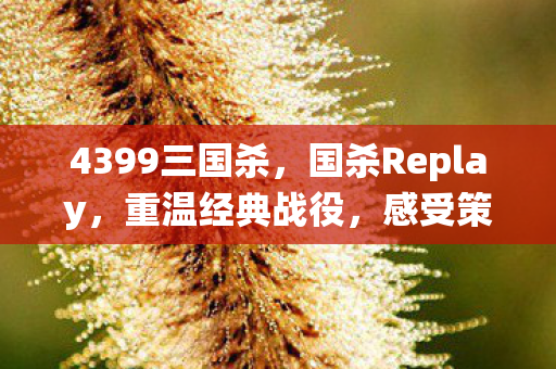 4399三国杀,国杀Replay,重温经典战役,感受策略与智慧的碰撞 4399三国杀,国杀Replay,重温经典战役,感受策略与智慧的碰撞