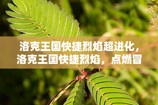 洛克王国快捷烈焰超进化,洛克王国快捷烈焰,点燃冒险的火花 洛克王国快捷烈焰超进化,洛克王国快捷烈焰,点燃冒险的火花