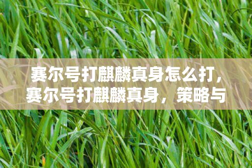 赛尔号打麒麟真身怎么打,赛尔号打麒麟真身,策略与技巧的深度解析 赛尔号打麒麟真身怎么打,赛尔号打麒麟真身,策略与技巧的深度解析