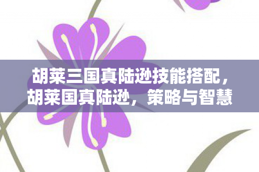 胡莱三国真陆逊技能搭配,胡莱国真陆逊,策略与智慧的碰撞 胡莱三国真陆逊技能搭配,胡莱国真陆逊,策略与智慧的碰撞