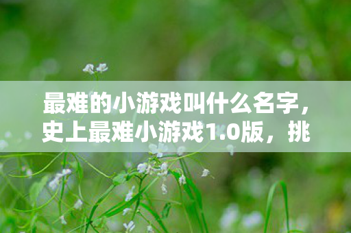 最难的小游戏叫什么名字,史上最难小游戏1.0版,挑战玩家极限的益智冒险 最难的小游戏叫什么名字,史上最难小游戏1.0版,挑战玩家极限的益智冒险
