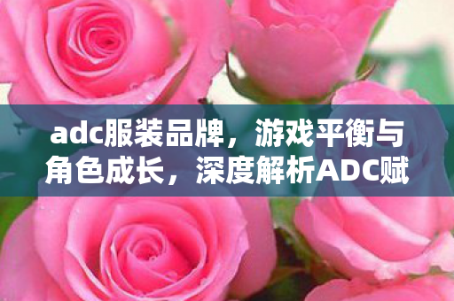 adc服装品牌,游戏平衡与角色成长,深度解析ADC赋的重要性 adc服装品牌,游戏平衡与角色成长,深度解析ADC赋的重要性