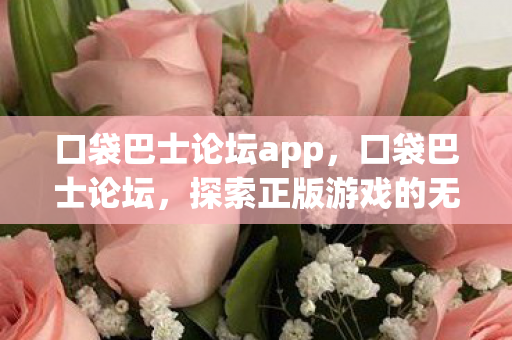 口袋巴士论坛app，口袋巴士论坛，探索正版游戏的无限可能