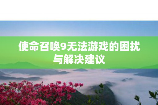 使命召唤9无法游戏的困扰与解决建议