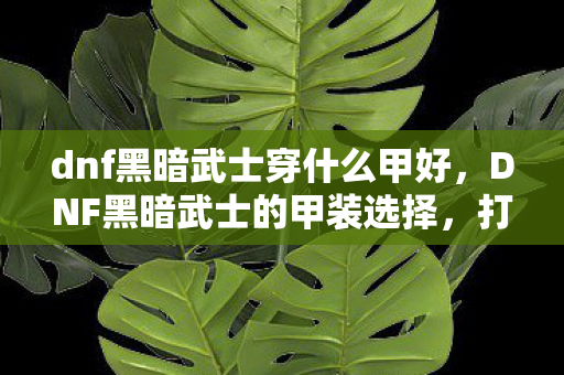 dnf黑暗武士穿什么甲好,DNF黑暗武士的甲装选择,打造最强战斗力的关键 dnf黑暗武士穿什么甲好,DNF黑暗武士的甲装选择,打造最强战斗力的关键