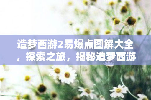 造梦西游2易爆点图解大全,探索之旅,揭秘造梦西游2隐藏易爆点,策略制胜的地图指南! 造梦西游2易爆点图解大全,探索之旅,揭秘造梦西游2隐藏易爆点,策略制胜的地图指南!