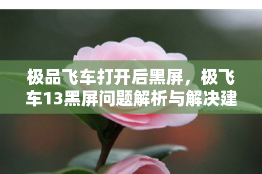 极品飞车打开后黑屏,极飞车13黑屏问题解析与解决建议 极品飞车打开后黑屏,极飞车13黑屏问题解析与解决建议