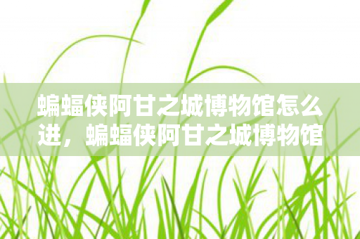 蝙蝠侠阿甘之城博物馆怎么进,蝙蝠侠阿甘之城博物馆,探索虚拟世界的奇幻之旅 蝙蝠侠阿甘之城博物馆怎么进,蝙蝠侠阿甘之城博物馆,探索虚拟世界的奇幻之旅