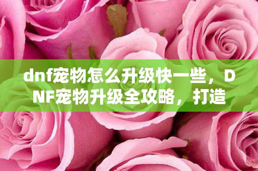 dnf宠物怎么升级快一些,DNF宠物升级全攻略,打造强力战斗伙伴 dnf宠物怎么升级快一些,DNF宠物升级全攻略,打造强力战斗伙伴