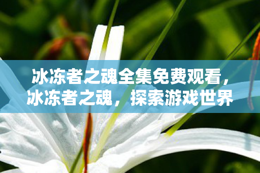 冰冻者之魂全集免费观看,冰冻者之魂,探索游戏世界的冰封奥秘 冰冻者之魂全集免费观看,冰冻者之魂,探索游戏世界的冰封奥秘