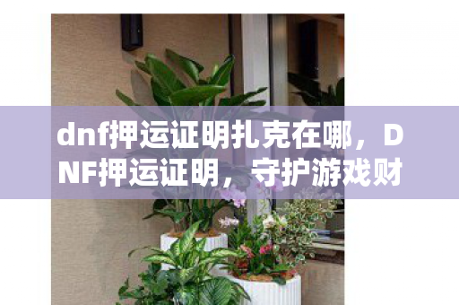 dnf押运证明扎克在哪,DNF押运证明,守护游戏财产的新防线 dnf押运证明扎克在哪,DNF押运证明,守护游戏财产的新防线