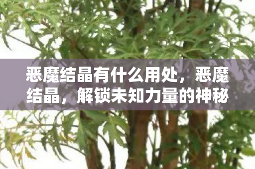 恶魔结晶有什么用处,恶魔结晶,解锁未知力量的神秘钥匙 恶魔结晶有什么用处,恶魔结晶,解锁未知力量的神秘钥匙