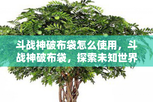 斗战神破布袋怎么使用,斗战神破布袋,探索未知世界的神秘之旅 斗战神破布袋怎么使用,斗战神破布袋,探索未知世界的神秘之旅