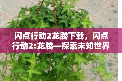 闪点行动2龙腾下载,闪点行动2:龙腾—探索未知世界的奇幻之旅 闪点行动2龙腾下载,闪点行动2:龙腾—探索未知世界的奇幻之旅
