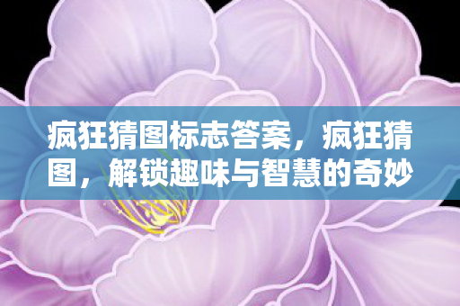 疯狂猜图标志答案，疯狂猜图，解锁趣味与智慧的奇妙之旅