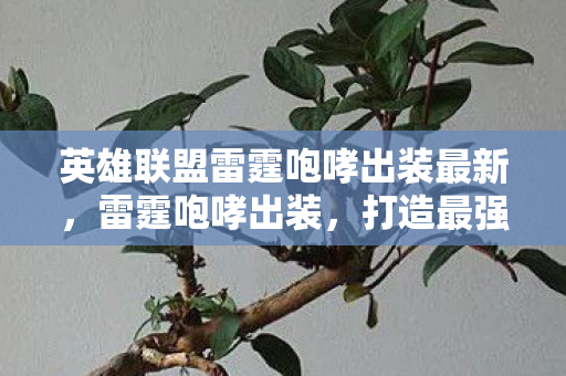 英雄联盟雷霆咆哮出装最新,雷霆咆哮出装,打造最强野区霸主 英雄联盟雷霆咆哮出装最新,雷霆咆哮出装,打造最强野区霸主