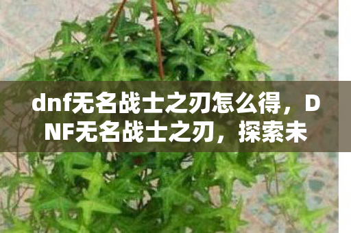 dnf无名战士之刃怎么得,DNF无名战士之刃,探索未知与挑战极限的勇士之路 dnf无名战士之刃怎么得,DNF无名战士之刃,探索未知与挑战极限的勇士之路