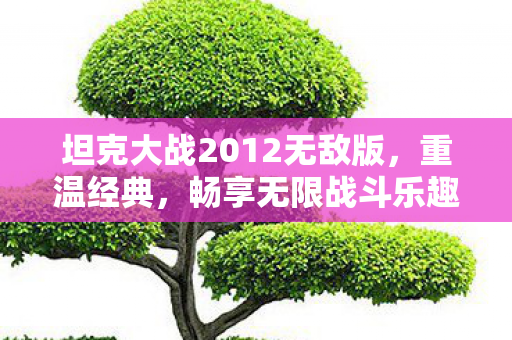 坦克大战2012无敌版,重温经典,畅享无限战斗乐趣 坦克大战2012无敌版,重温经典,畅享无限战斗乐趣
