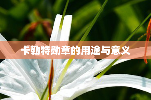 卡勒特勋章的用途与意义 卡勒特勋章的用途与意义