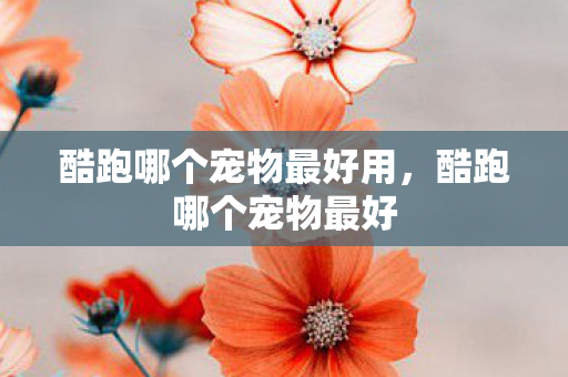 酷跑哪个宠物最好用，酷跑哪个宠物最好